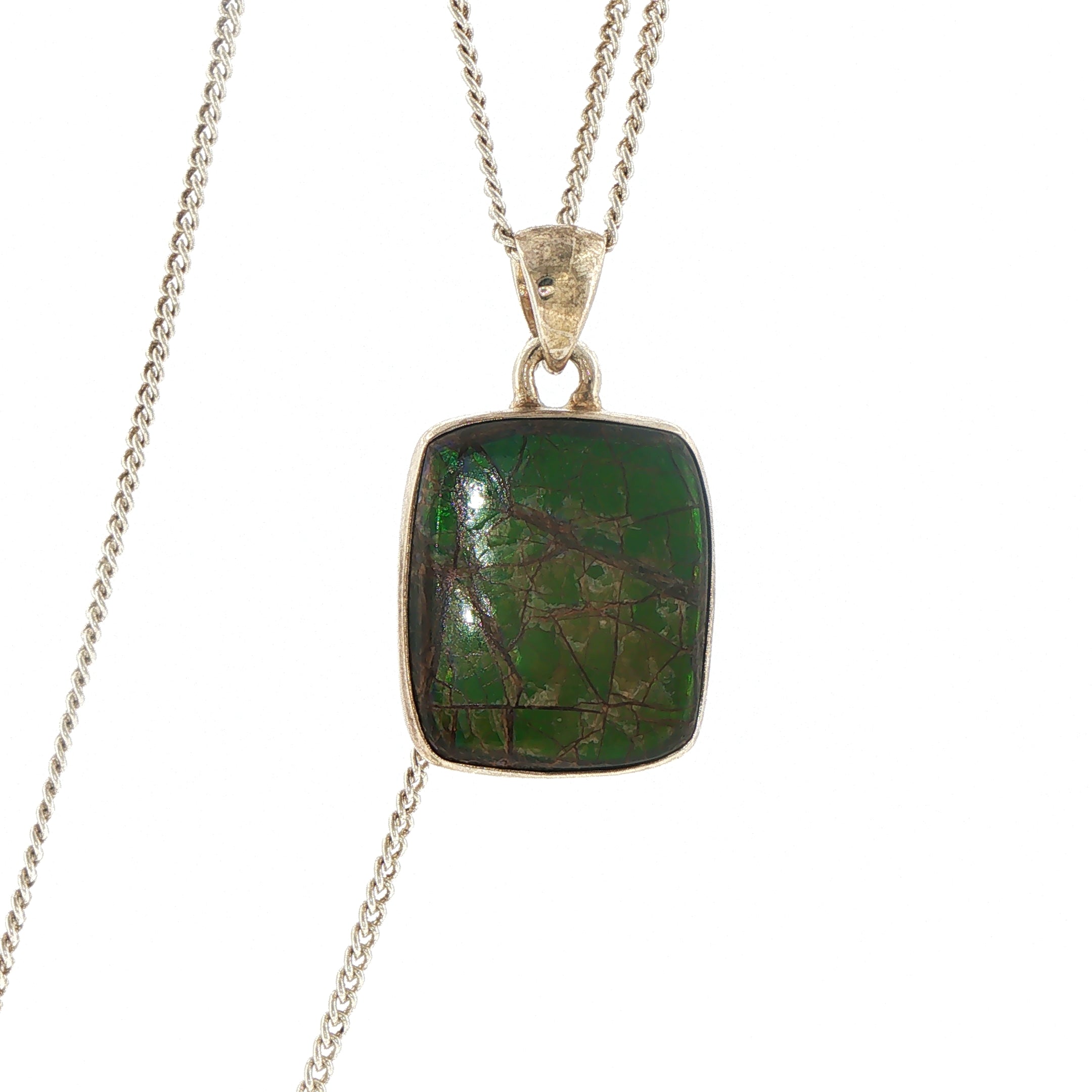Silver Ammolite Charm Necklace