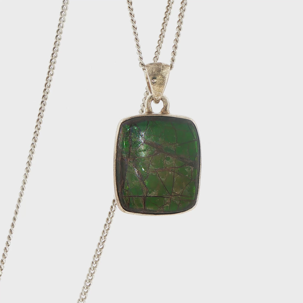 Silver Ammolite Charm Necklace